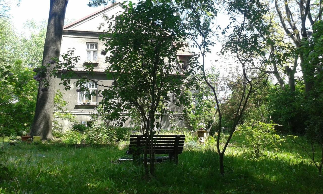 29 Avenue Leilighet *